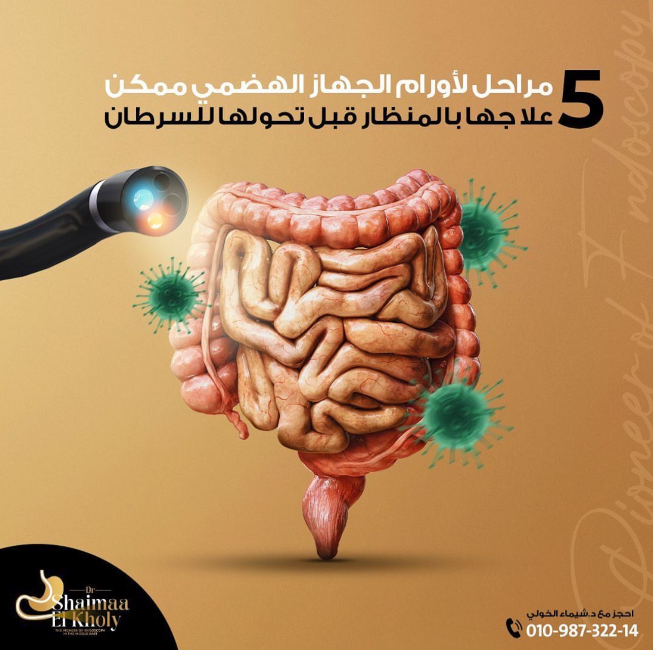 Dr-Shimaa-El-kholy